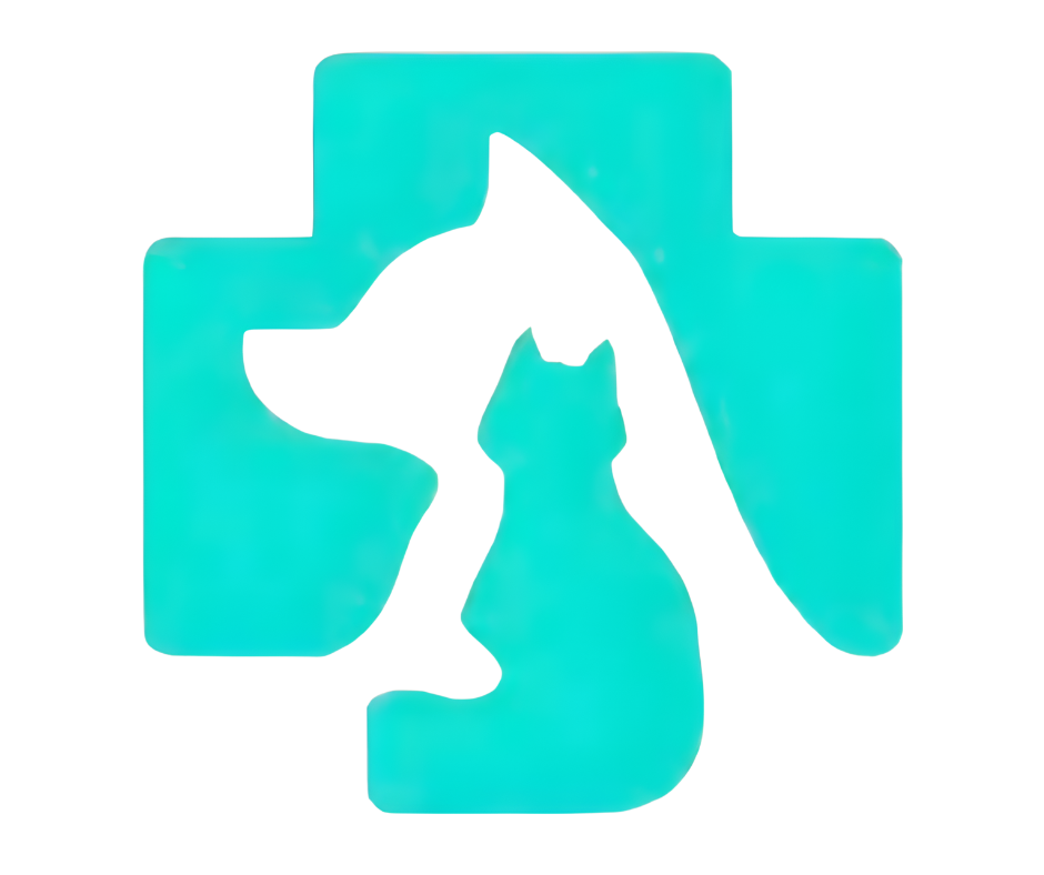 PawMD - Pet Health Management App Logo